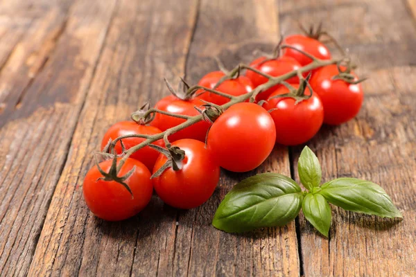 バジルとフレッシュ トマト — ストック写真
