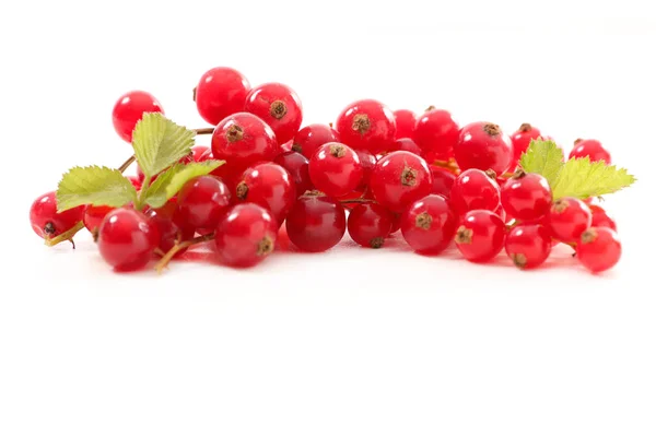 Fresh ripe redcurrants — Stock Photo, Image