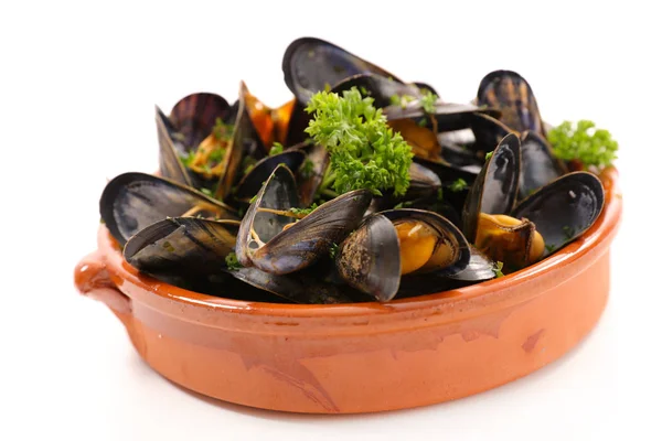 Boiled mussels  isolated — Stock Photo, Image