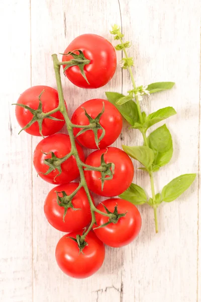 Tomates y albahaca en la mesa — Foto de Stock