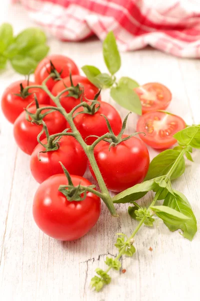 Tomates y albahaca en la mesa — Foto de Stock