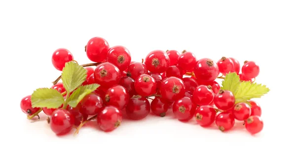 Fresh ripe redcurrants — Stock Photo, Image