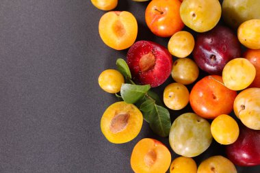  Erik gri arka plan üzerinde