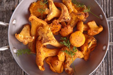 Cantharellus cibarius üzerinde kapat
