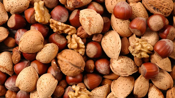 Různé druhy ořechů textura — Stock fotografie