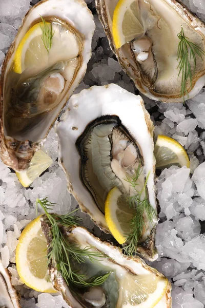 Fresh Opened Oysters Lemons — Stock Photo, Image