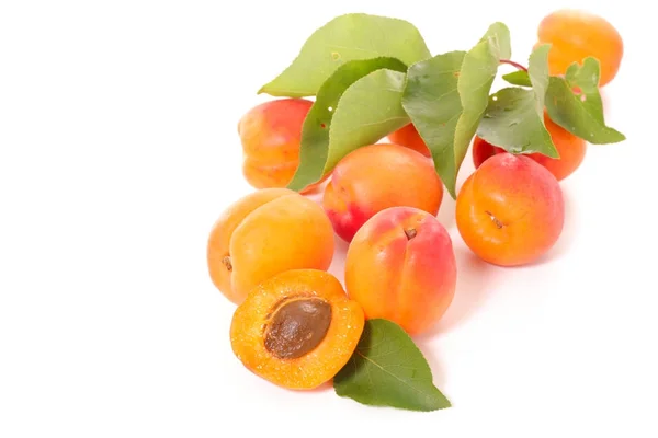 Close View Apricots Leaves Isolated White — Stock Photo, Image