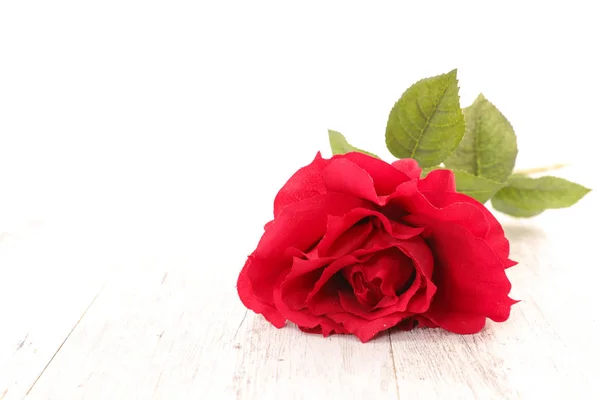 Flor Rosa Roja Sobre Mesa Madera Concepto Día San Valentín —  Fotos de Stock