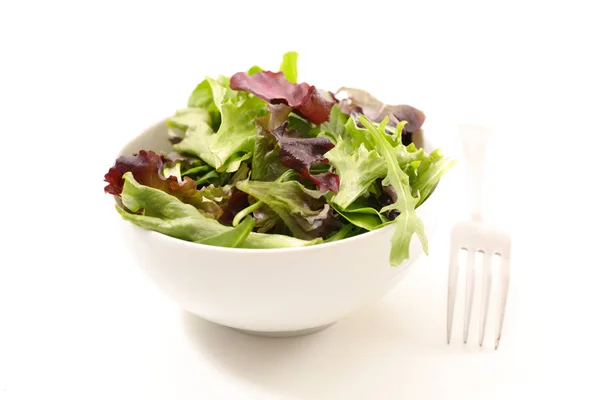 Lettuce White Bowl Close — Stock Photo, Image