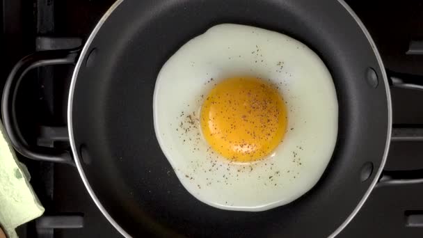Frying Egg Pan — Stock Video