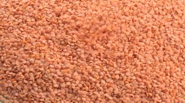 çiğ kırmızı mercimek yakın çekim