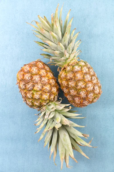 Verse Rijpe Ananas Blauwe Achtergrond — Stockfoto