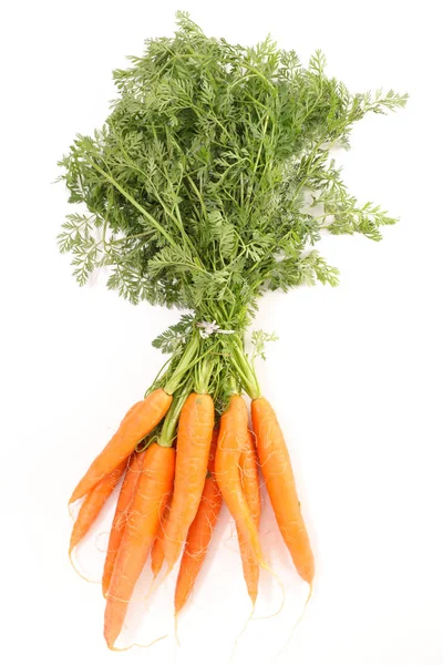 Fresh Carrots Leaves Isolated White Background — Stock Photo, Image