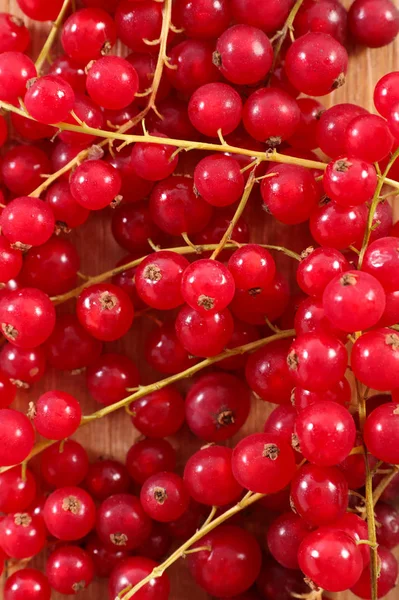 Branch Red Currant Close Shot — Stock Photo, Image
