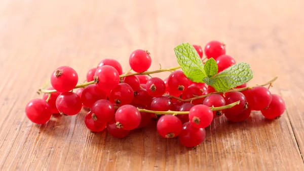 Branch Red Currant Close Shot — Stock Photo, Image