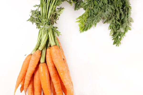 Carrot Leaf Isolated White Background — Stock Photo, Image