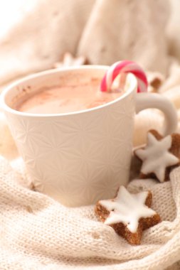 Sıcak kış çikolatalı, sütlü ve kakaolu kupa.
