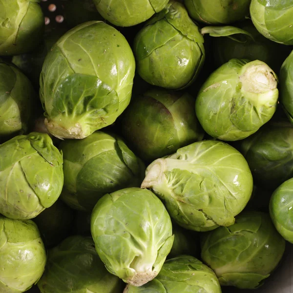 Çiğ Brussel Filizlerine Yakın Dur — Stok fotoğraf