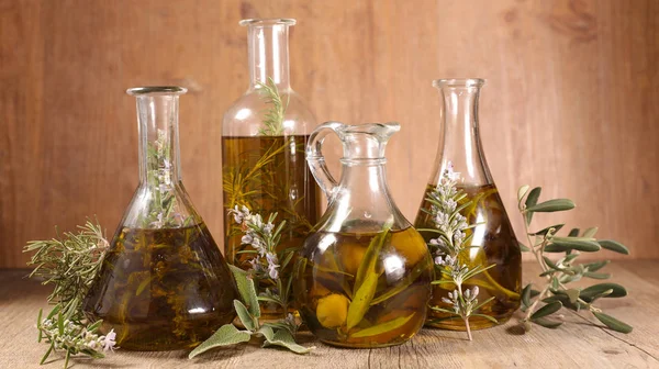 Assorted Olive Oil Cooking Oil Branch — 스톡 사진
