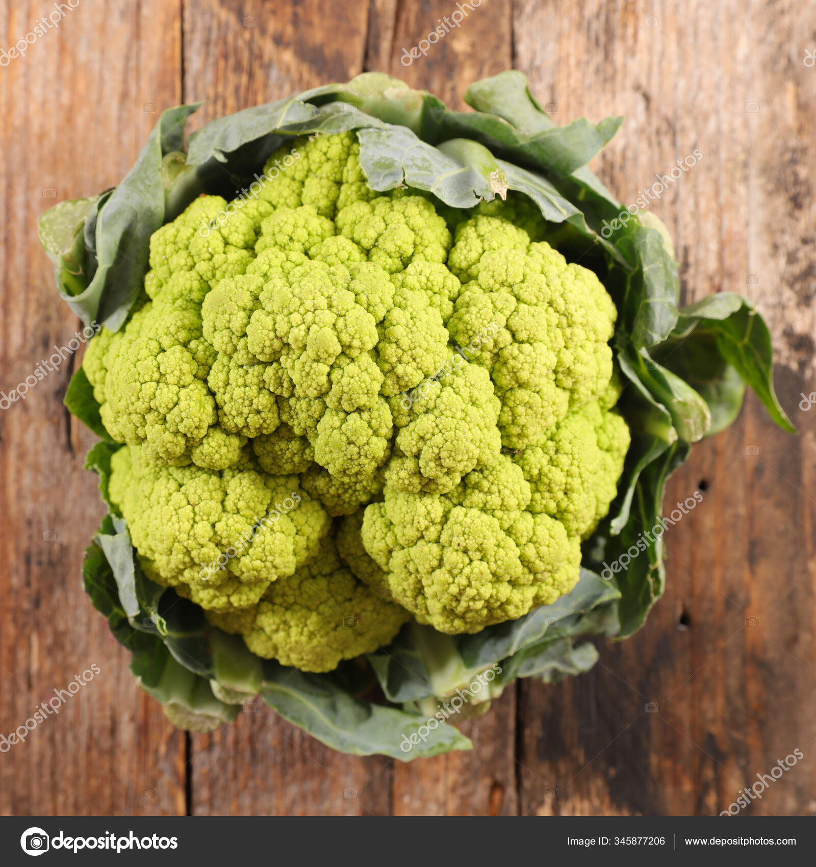 Chou Vert Chou Fleur Vert Feuille Photographie Studiom C 345877206