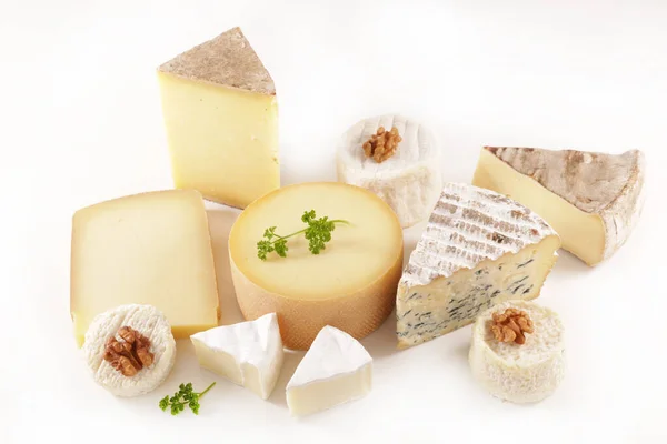 白を基調としたチーズの数々 — ストック写真