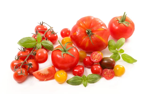 Collection Colorful Tomatoes Basil — Stock Photo, Image