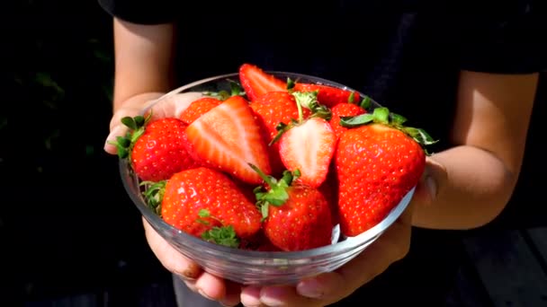 Child Holding Bowl Strawberries — Stock Video