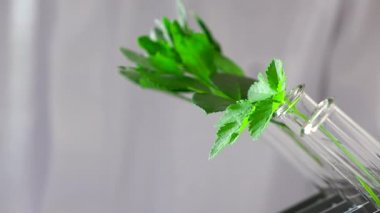 Laboratuvar .researcher Biyokimya laboratuarında çalışan araştırmacı.