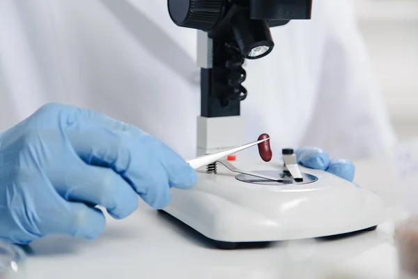Laborassistentin im Lebensmittelqualitäts-Zellkultur-Test zum Test gentechnisch veränderten Saatguts. — Stockfoto