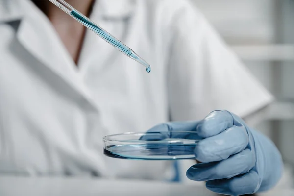 Pipeta com gota de cor líquida e placas de Petri. Cientista examinando solução em placa de Petri em um laboratório — Fotografia de Stock