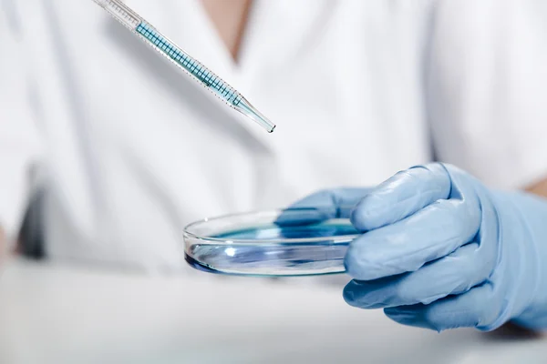 Pipeta com gota de cor líquida e placas de Petri. Cientista examinando solução em placa de Petri em um laboratório — Fotografia de Stock