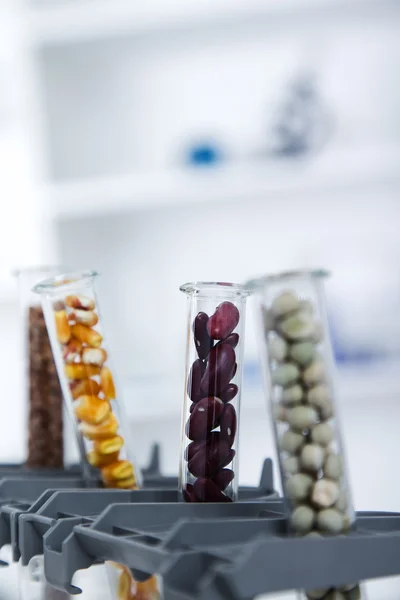 Laboratorio Químico de la Alimentación. Adentro, ADN modificado. Imagen de tonificación . —  Fotos de Stock