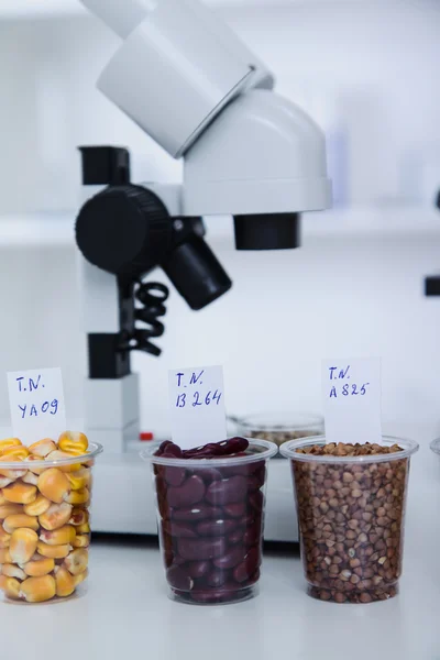 Laboratorio Químico de la Alimentación. Adentro, ADN modificado. Imagen de tonificación . —  Fotos de Stock