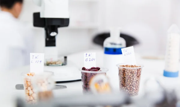 Laboratorio Químico de la Alimentación. Adentro, ADN modificado. Imagen de tonificación . —  Fotos de Stock