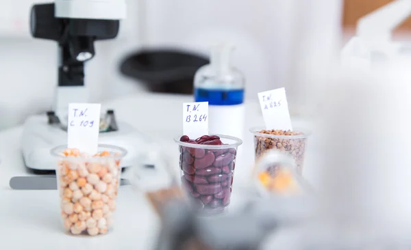 Laboratorio Chimico della Alimentazione. Dna modificare. Tonificazione immagine . — Foto Stock