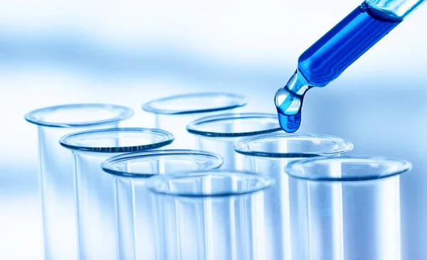 Pipette adding fluid to one of several test tubes .medical glassware — Stock Photo, Image