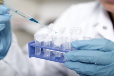 Laboratuar asistanı olarak gıda kalite. Hücre kültür tahlil genetik test etmek için tohum değişiklik