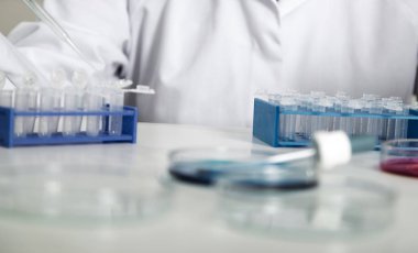 Laboratuar asistanı olarak gıda kalite. Hücre kültür tahlil genetik test etmek için tohum değişiklik