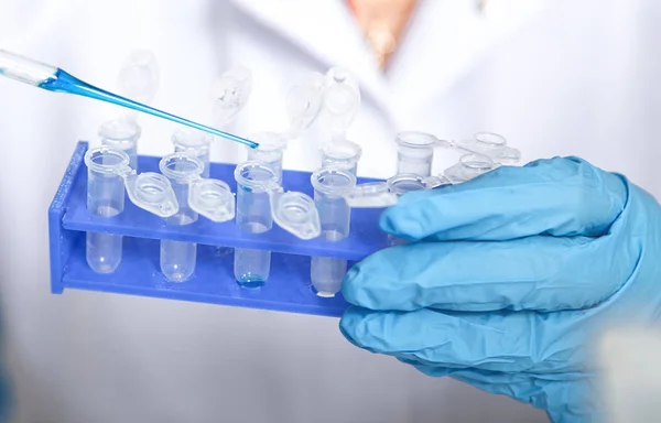 Asistente de laboratorio en la calidad de los alimentos.Ensayo de cultivo celular para probar semillas modificadas genéticamente —  Fotos de Stock