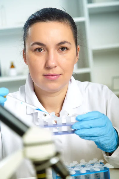 Asistente de laboratorio en la calidad de los alimentos.Ensayo de cultivo celular para probar semillas modificadas genéticamente —  Fotos de Stock