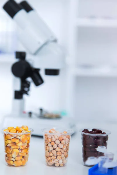 Chemielabor der Lebensmittelversorgung. Lebensmittel im Labor, dna modifizieren . — Stockfoto
