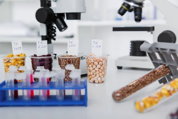 Laboratorio Químico de la Alimentación. Alimentos en laboratorio, ADN modificar  . —  Fotos de Stock