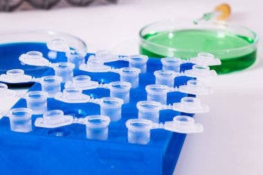 Sıvı birkaç test tüpleri loncası Züccaciye birine ekleyerek pipet