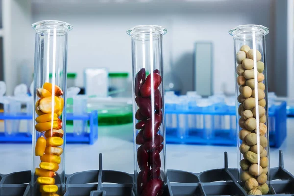 Chemisch laboratorium voor de voedselvoorziening. Voedsel in laboratorium, dna wijzigen . — Stockfoto