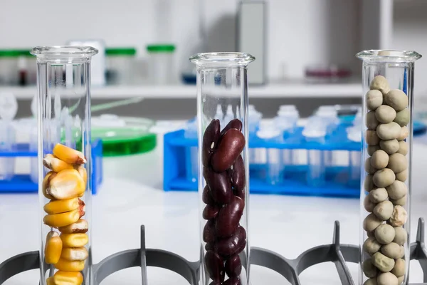 Kemiska laboratoriet för livsmedelsförsörjningen. Mat i laboratorium, dna ändra . — Stockfoto
