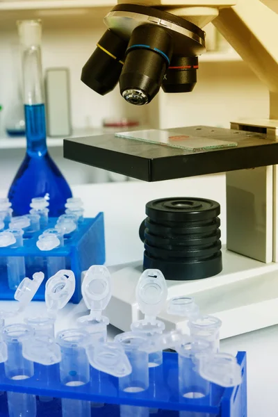 Laboratório Químico do Abastecimento de Alimentos. Alimentos em laboratório, dna modificar  . — Fotografia de Stock