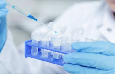 Laboratuar asistanı olarak gıda kalite. Hücre kültür tahlil genetik test etmek için tohum değişiklik