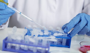 Laboratuar asistanı olarak gıda kalite. Hücre kültür tahlil genetik test etmek için tohum değişiklik