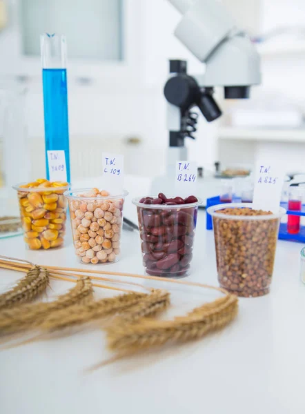 Laboratorio Químico de la Alimentación. Alimentos en laboratorio, ADN modificar — Foto de Stock