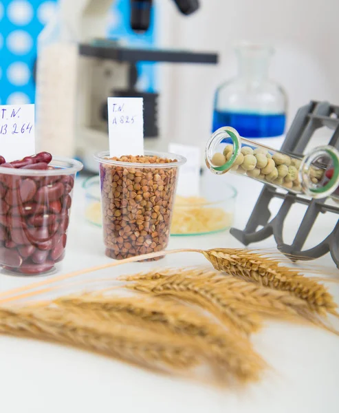 Laboratorio Químico de la Alimentación. Alimentos en laboratorio, ADN modificar —  Fotos de Stock